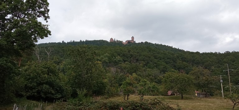 Château du Haut-Kœnigsbourg