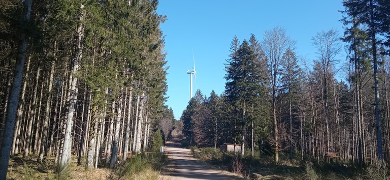 éoliennes de Saales