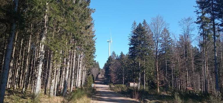 éoliennes de Saales